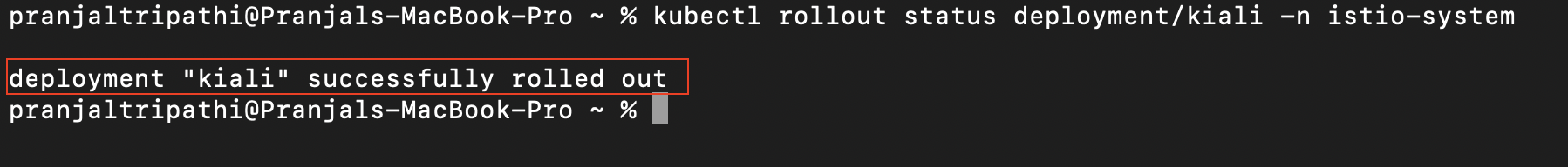 kubectl rollout status deployment/kiali -n istio-system